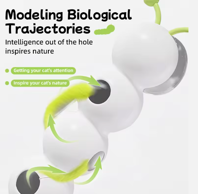 Interactive Caterpillar Cat Toy