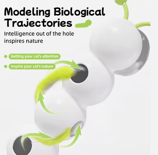 Interactive Caterpillar Cat Toy