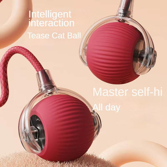 Interactive Pet Ball