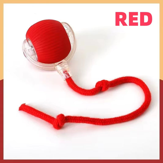 Interactive Pet Ball