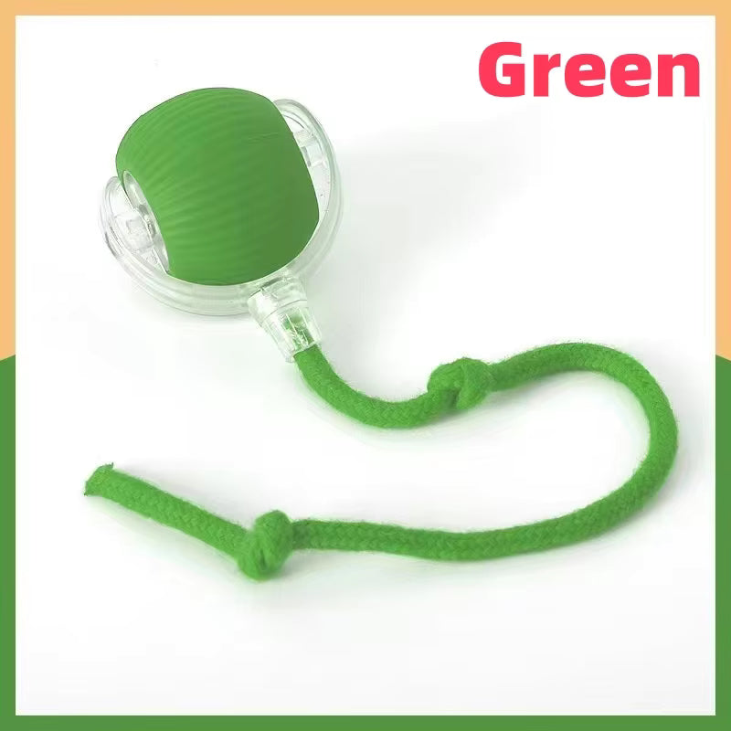 Interactive Pet Ball